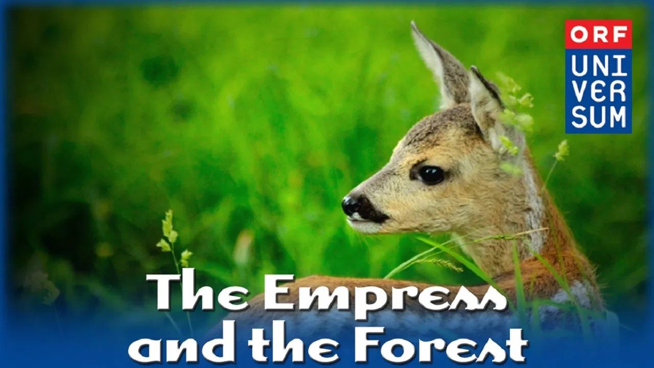 The Empress and the Forest backdrop