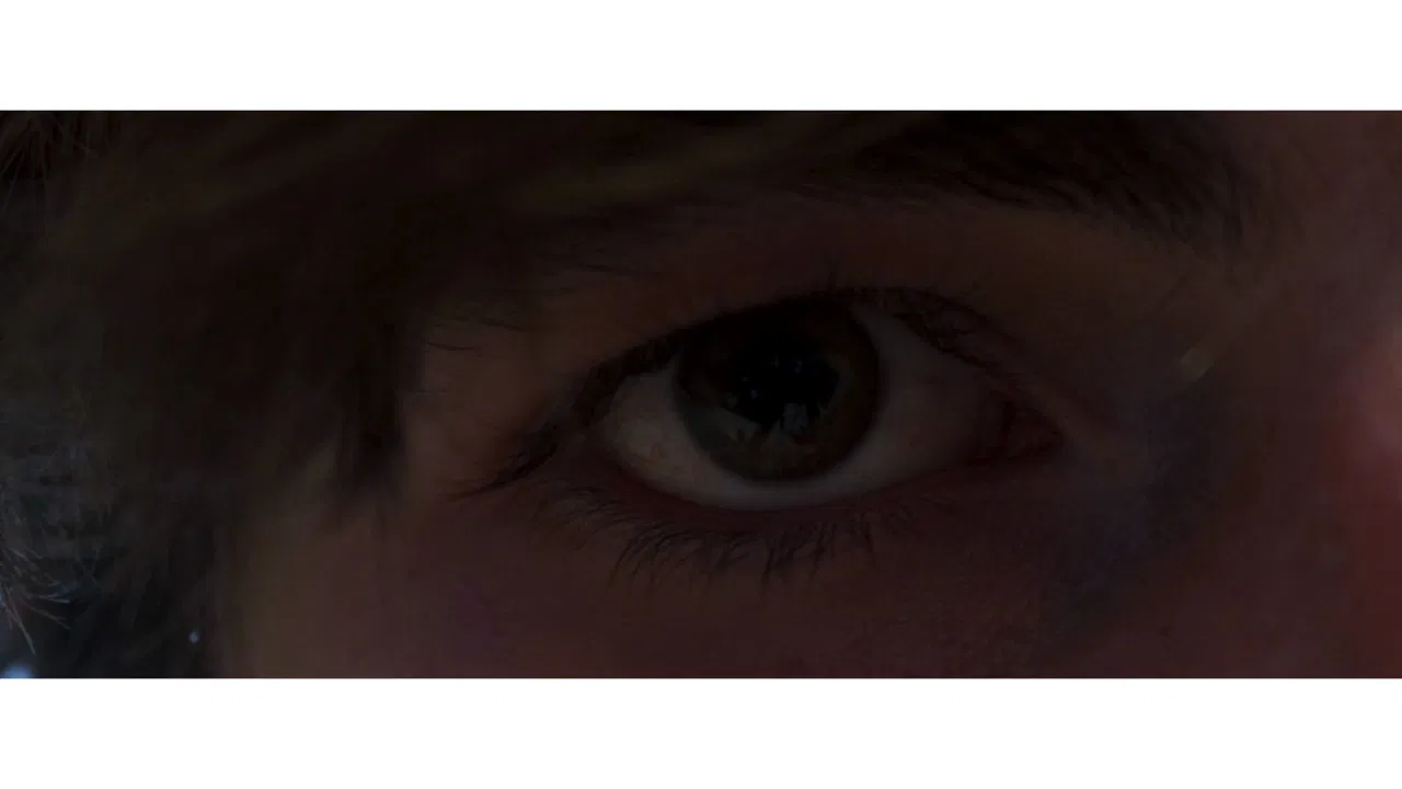 Why, Human? backdrop