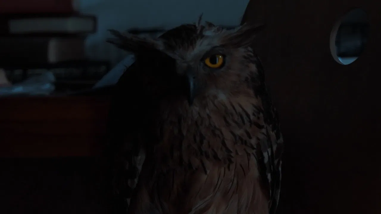 On Being Almost backdrop