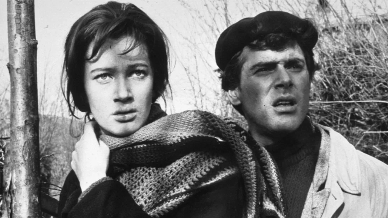 A Day for Lionhearts backdrop