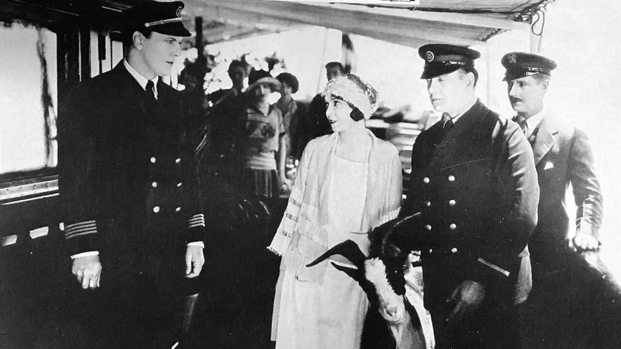 Homeward Bound backdrop