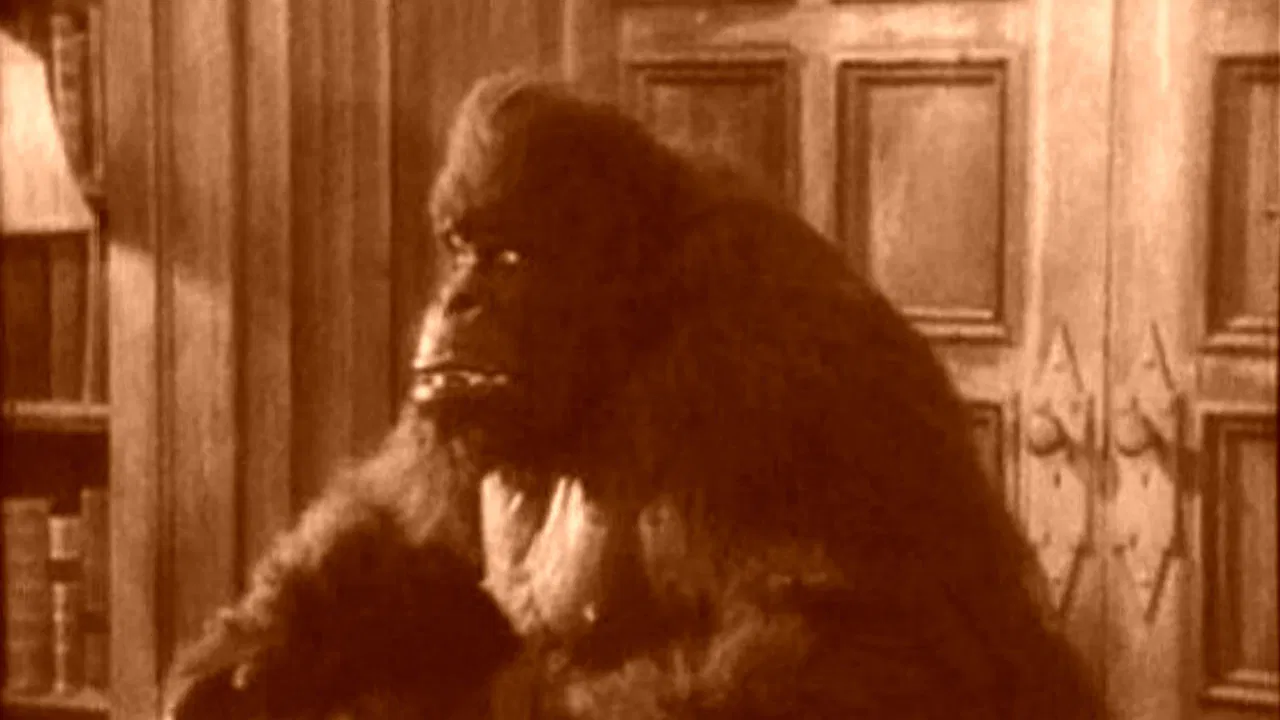 House of Mystery backdrop