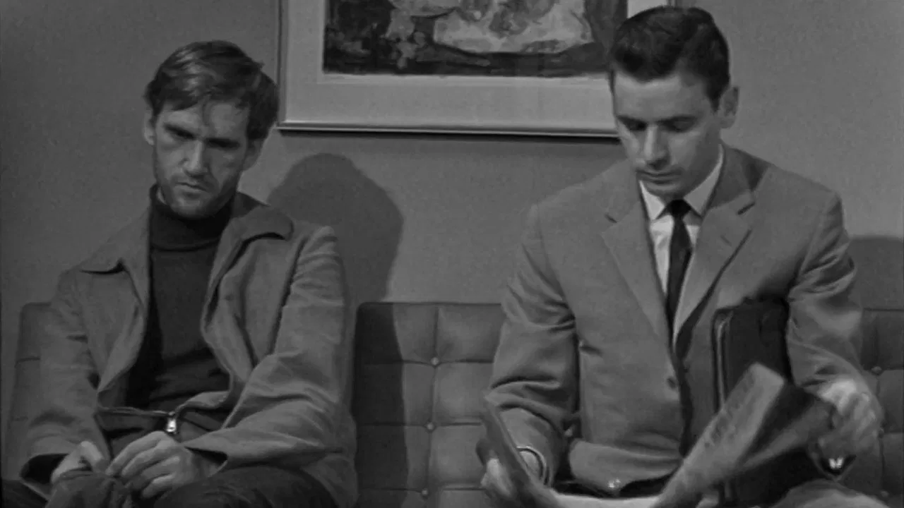 Fenced House backdrop