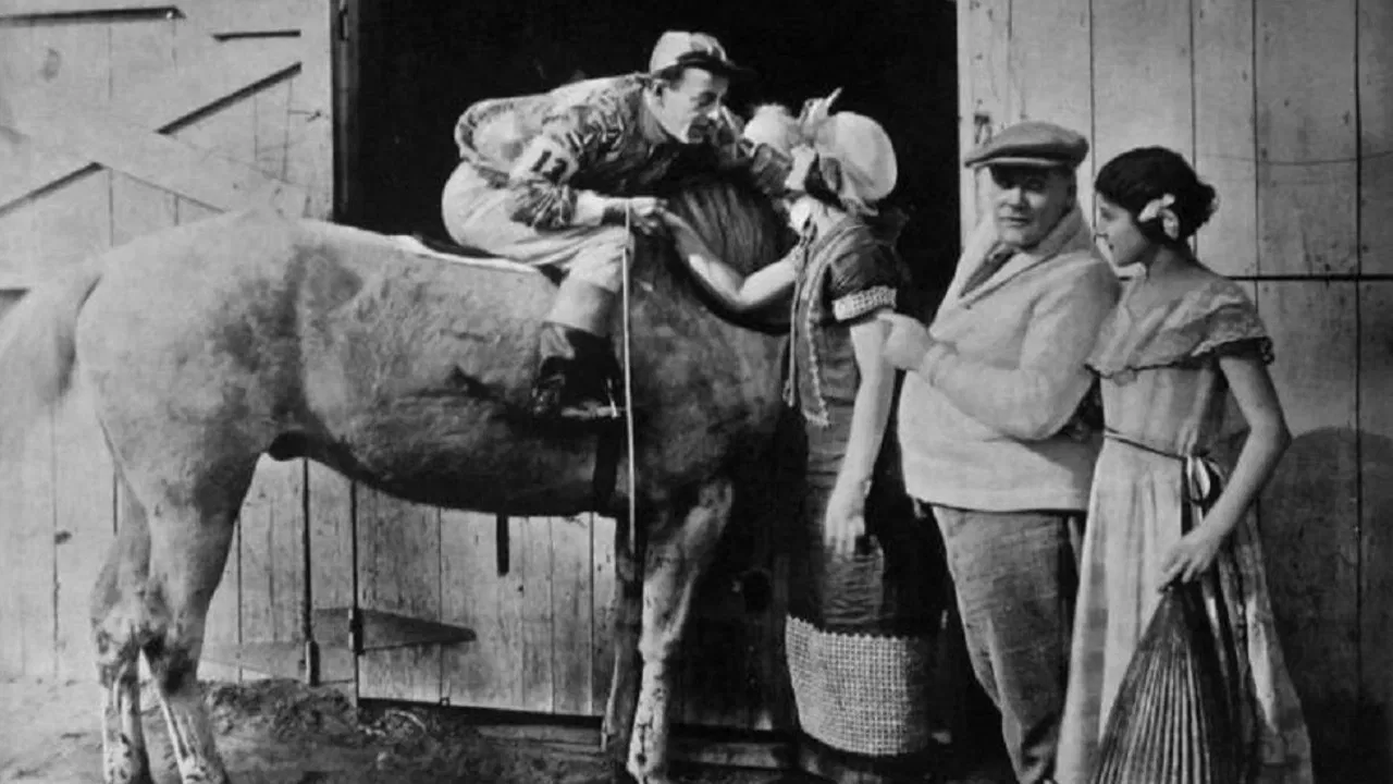 Black Oxfords backdrop