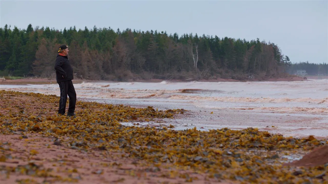 Then Sings My Soul backdrop