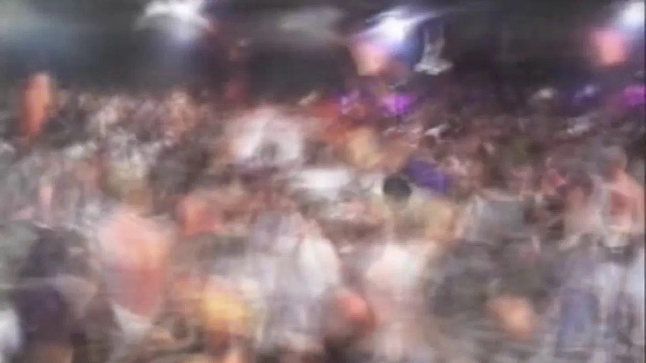 Viva la notte backdrop