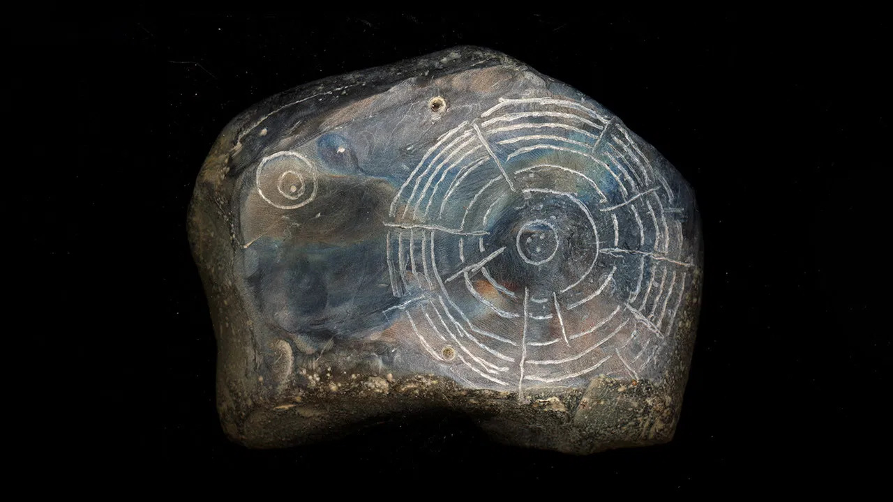 Witness: An Organima Film backdrop