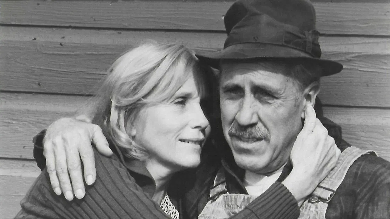 A Christmas to Remember backdrop