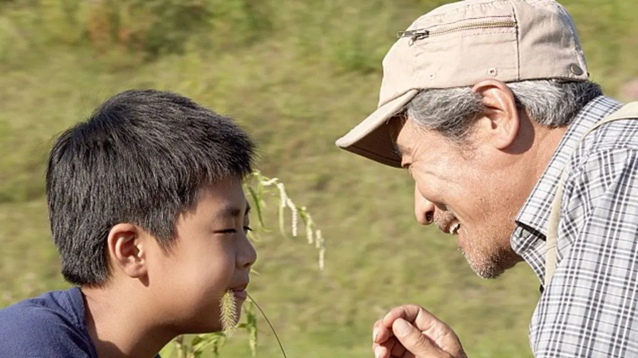 Old Bicycle backdrop