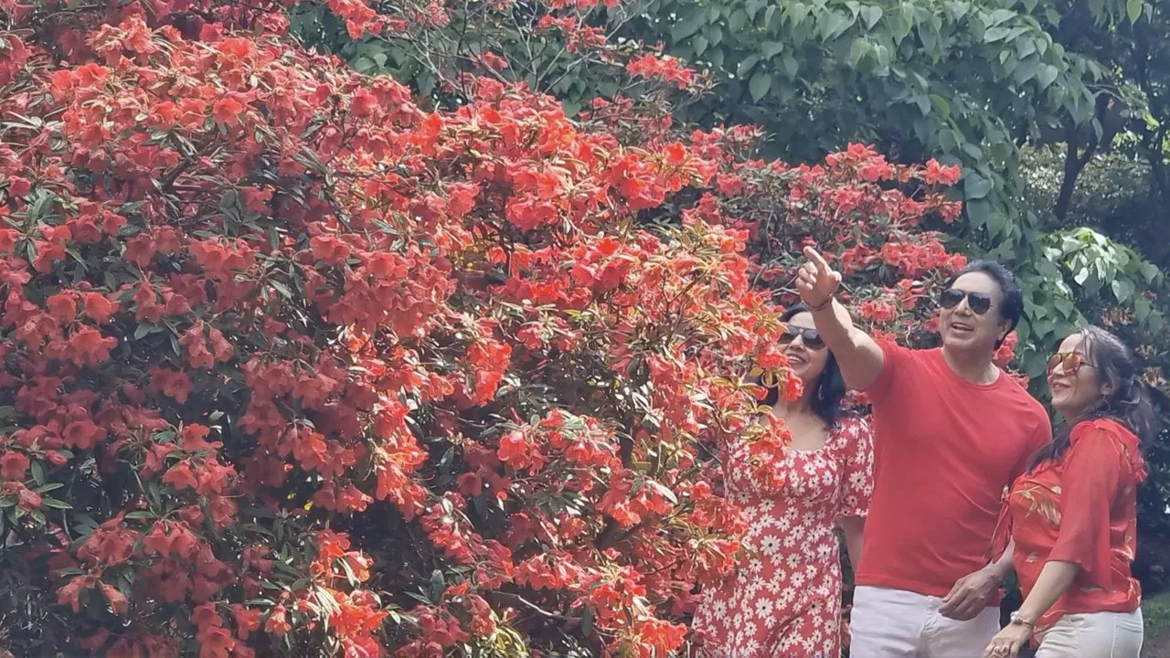 Virginia Water Lake backdrop