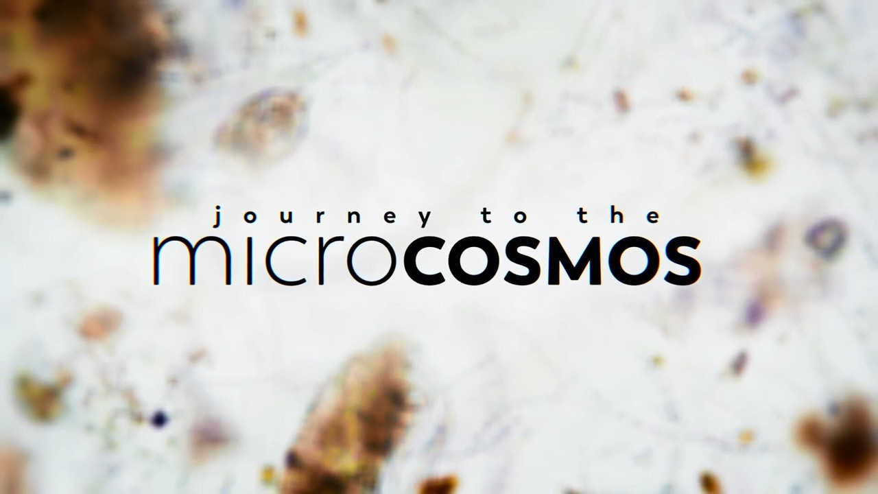 Journey to the Microcosmos backdrop