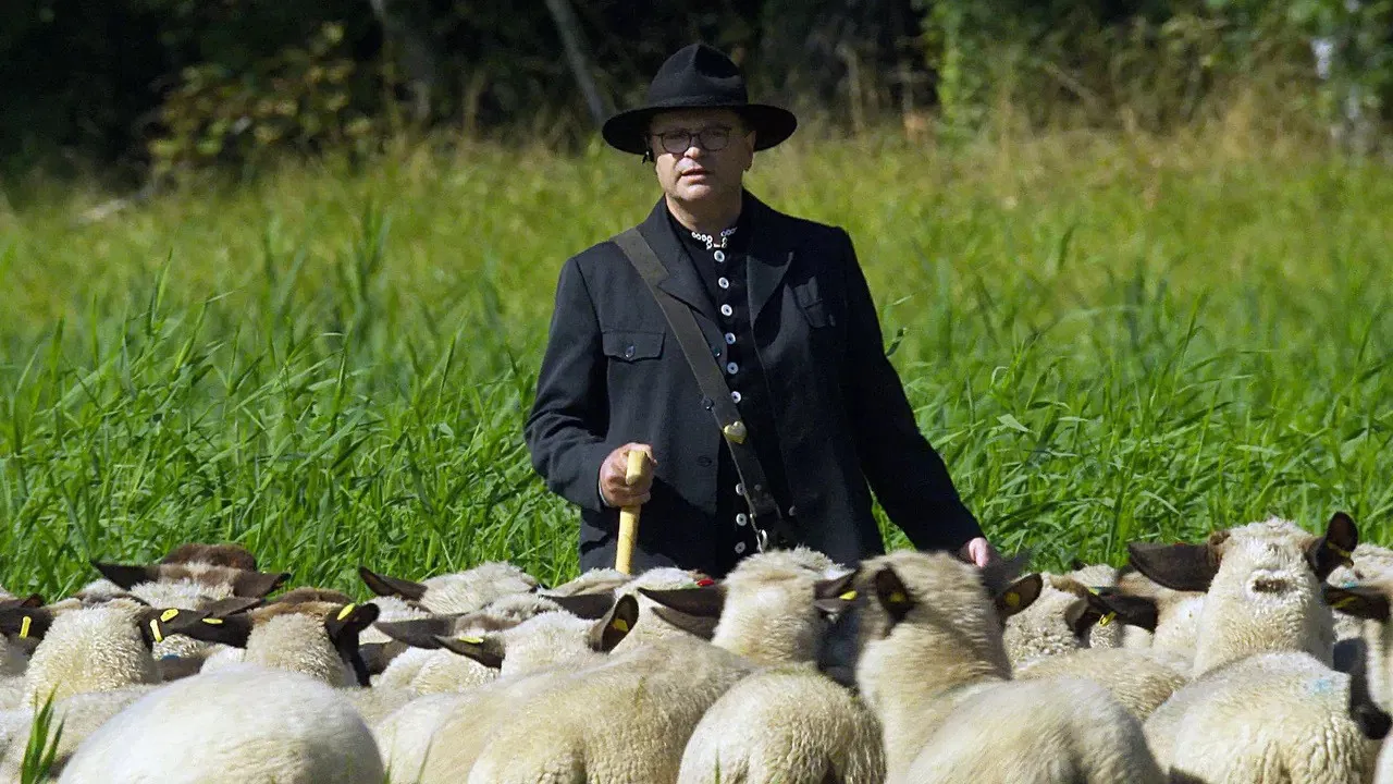 Les tribulations d'un berger transhumant backdrop