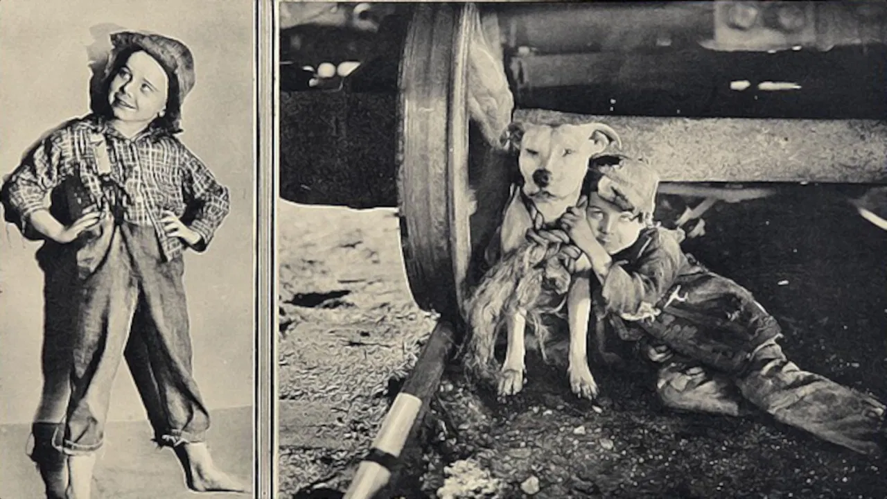 The Big Adventure backdrop