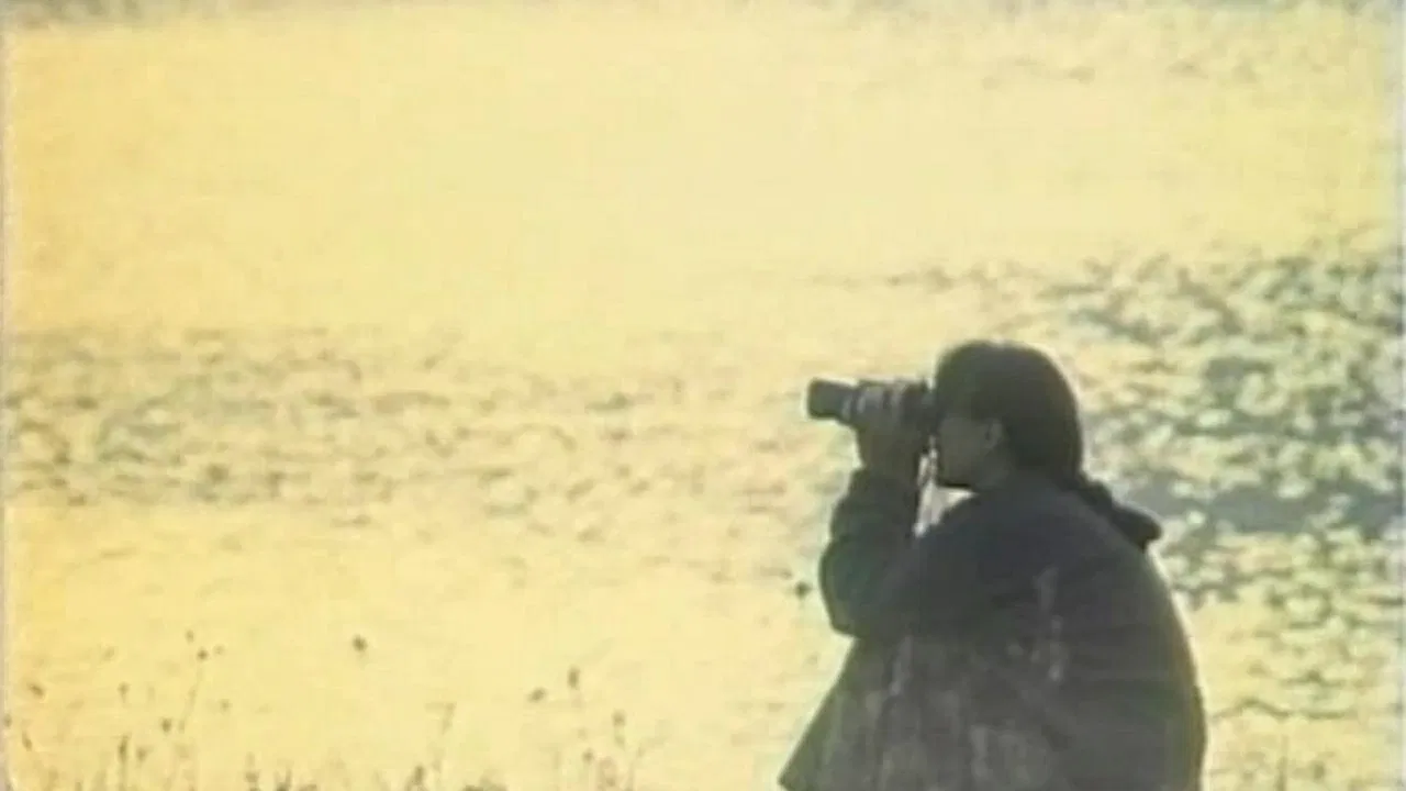 Destiny Boards backdrop