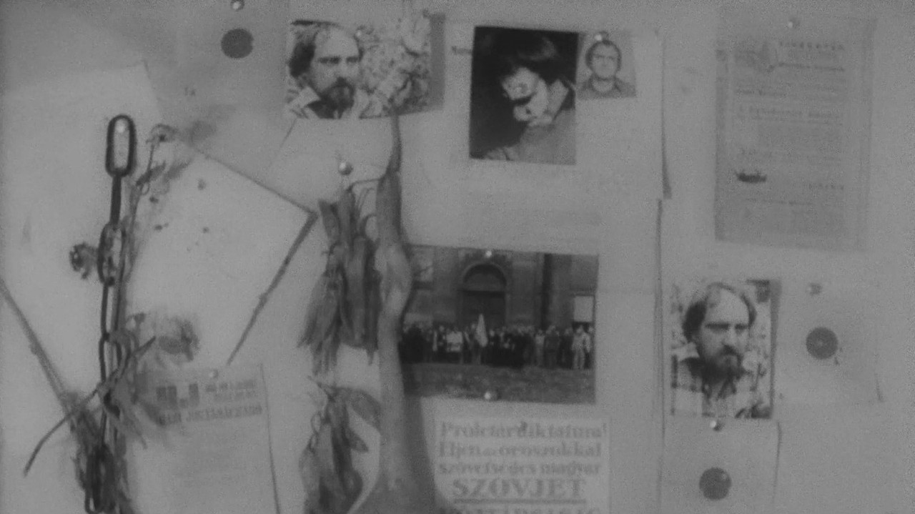 In memoriam Hajnóczy Péter backdrop