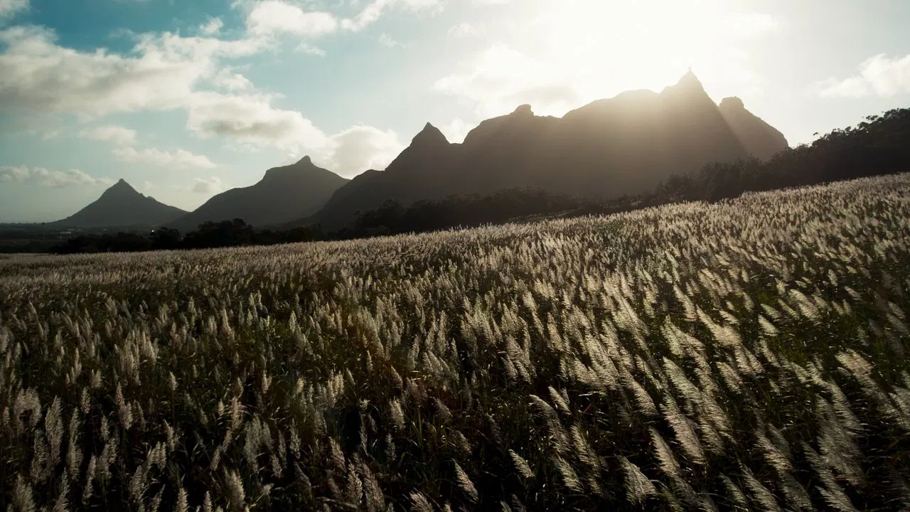 L’Offrande d’une vie backdrop