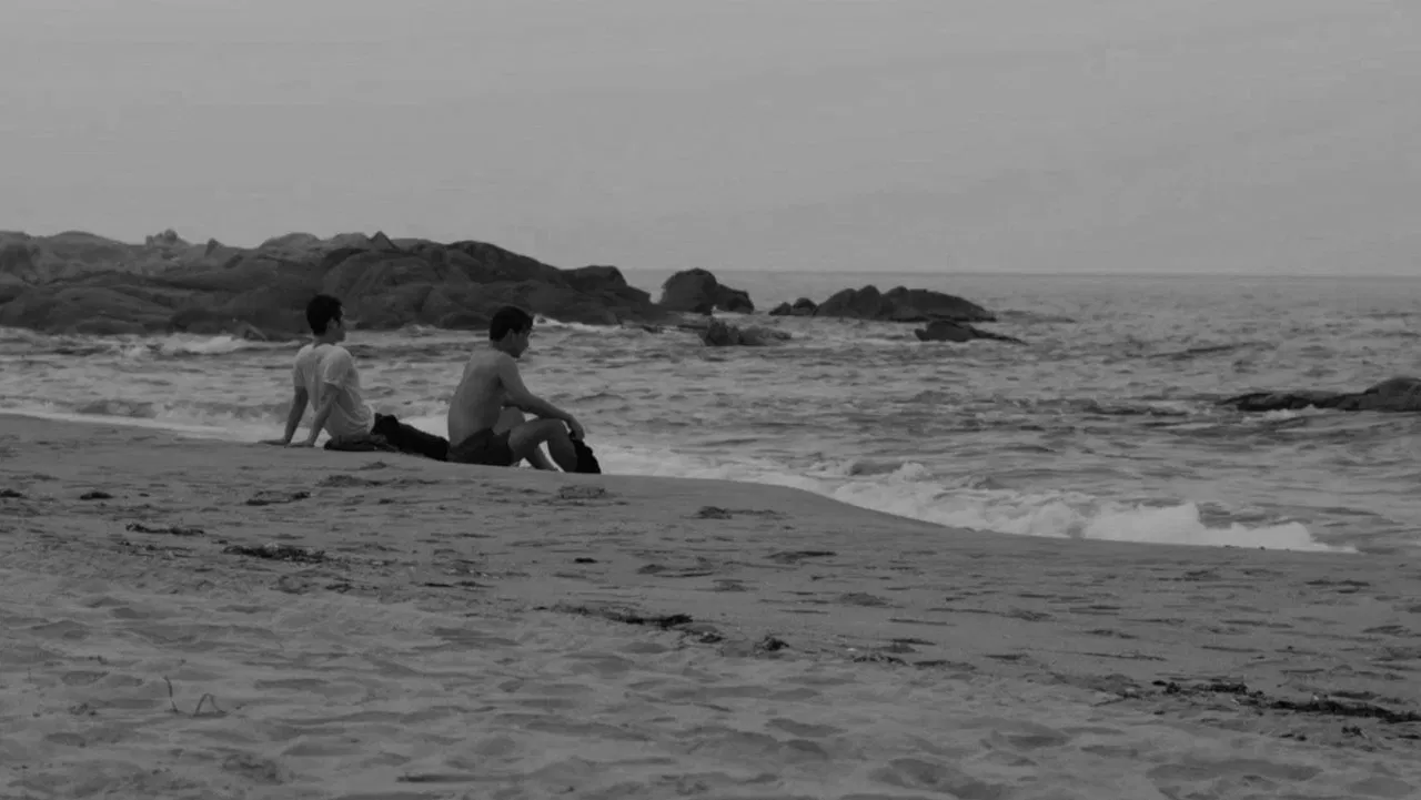 Black Summer backdrop