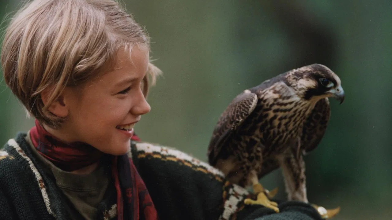 Katja's Adventure backdrop