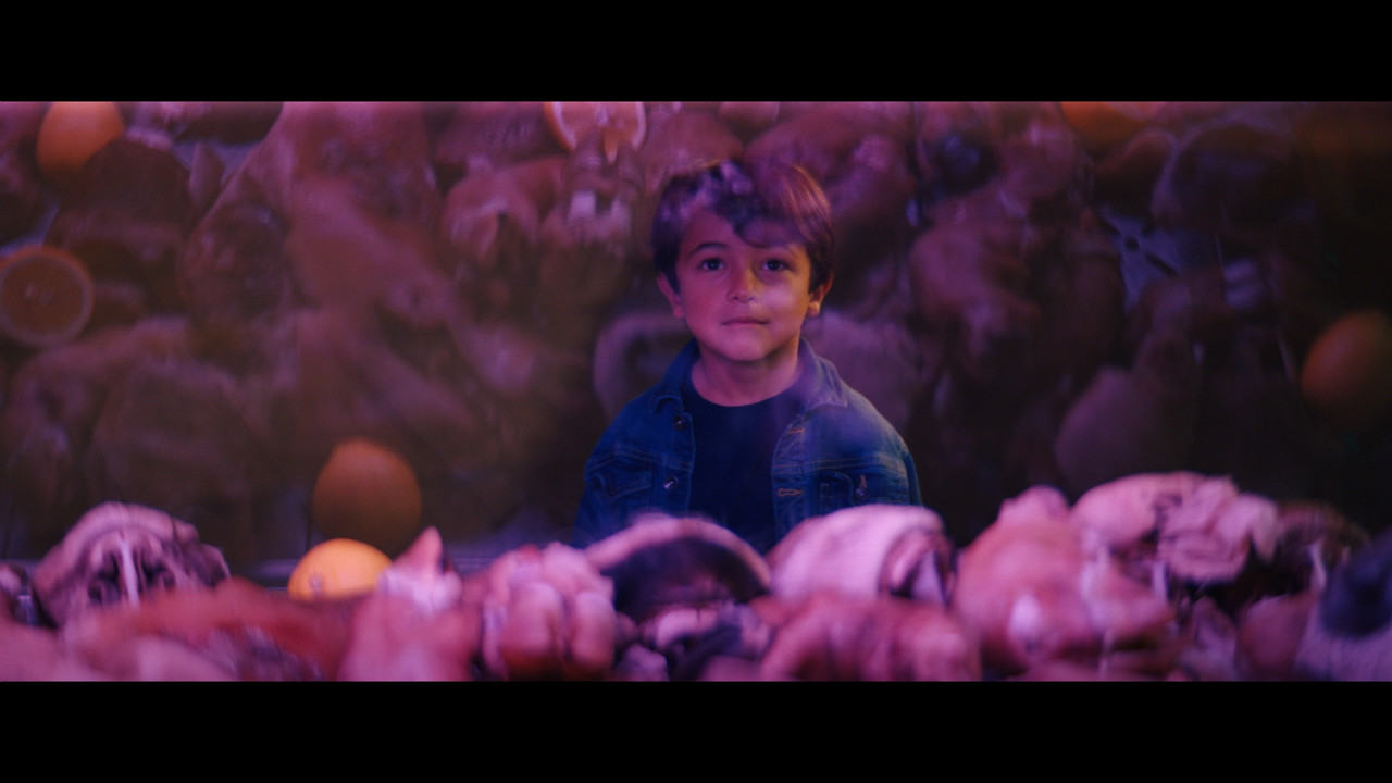 Night is an Odd Day backdrop