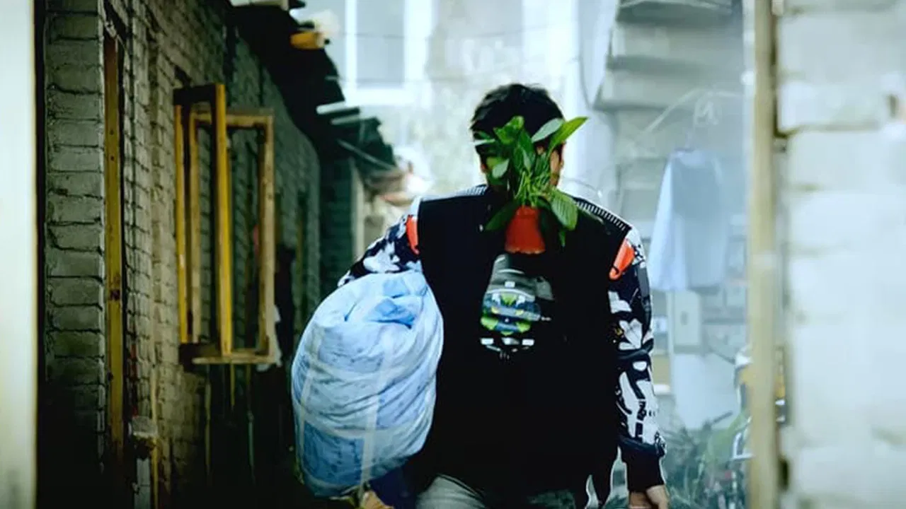 Two Stupid Men backdrop