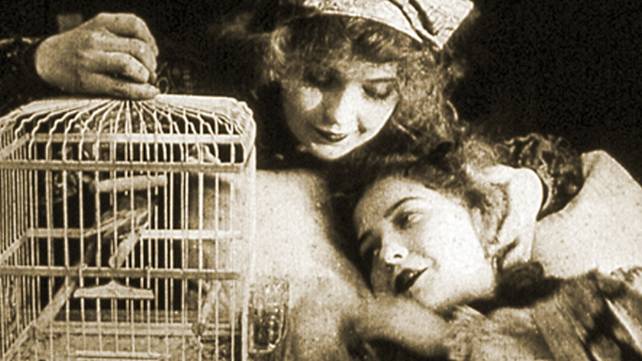 The Lady and the Mouse backdrop