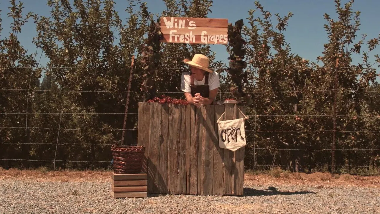 Windfall Rising backdrop