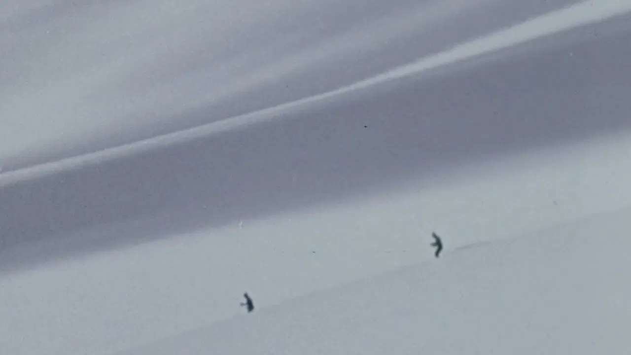 Winter Fever backdrop