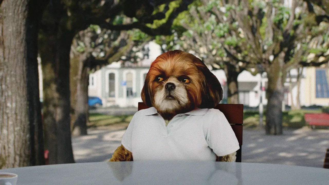 Bruno Aleixo's Film backdrop