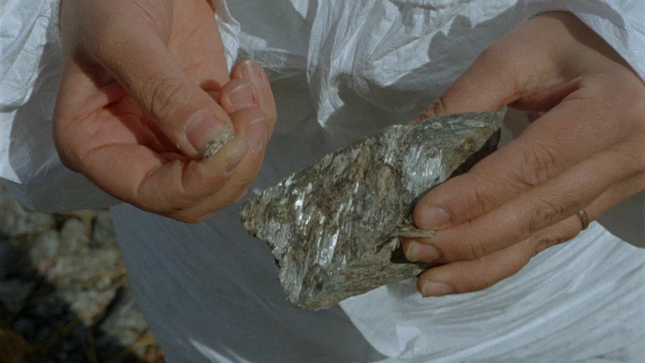 La montagna magica backdrop