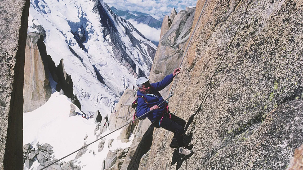 Baquet's Comeback backdrop