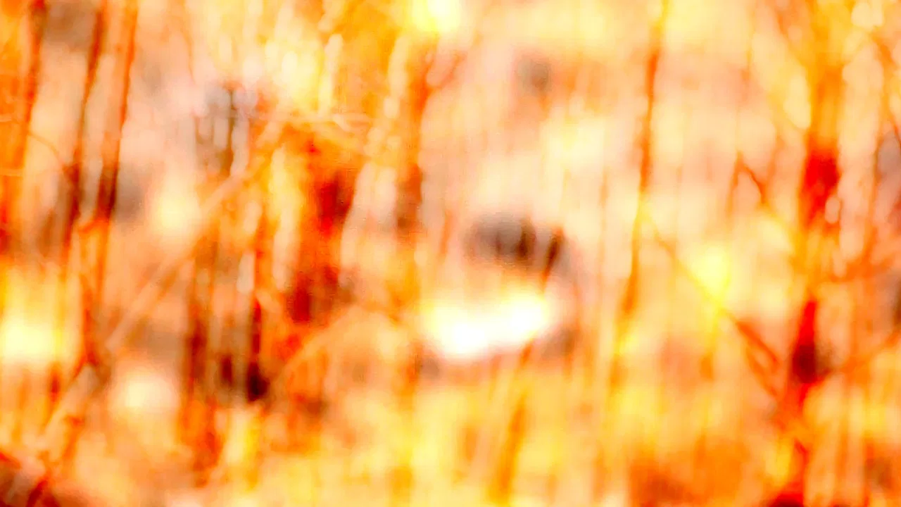 i weep for this place that is lost to me forever backdrop