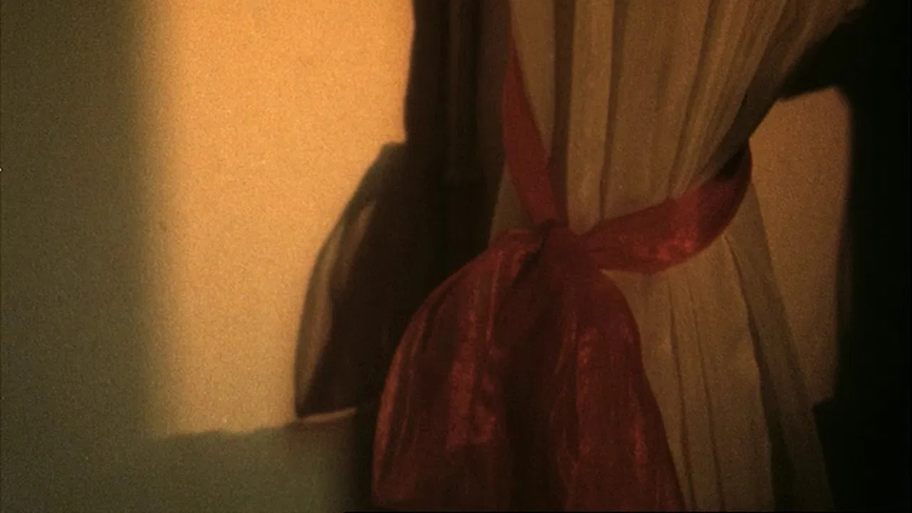 Hanging Upside Down in the Branches backdrop