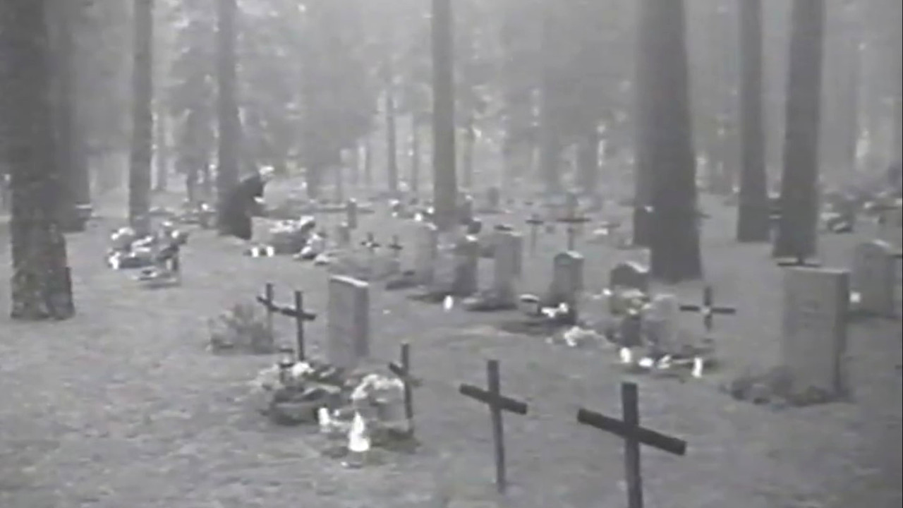 Why Must We Die? backdrop