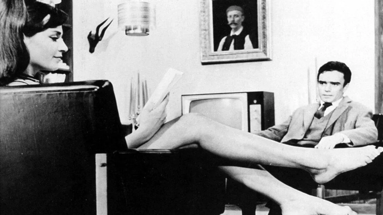 Face to Face backdrop