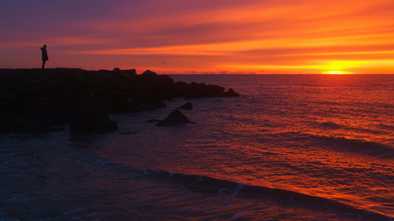 Hello, Goodbye backdrop