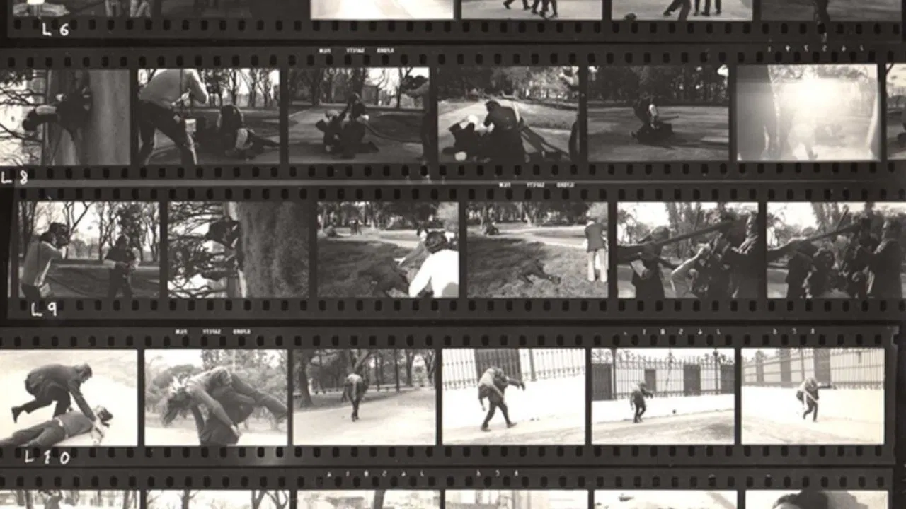 Fragmentos rebelados backdrop