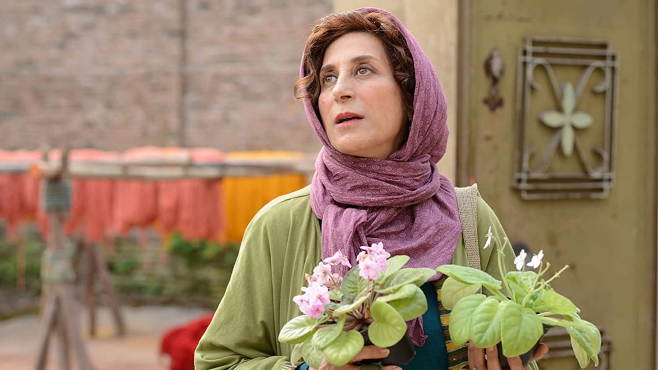 African Violet backdrop