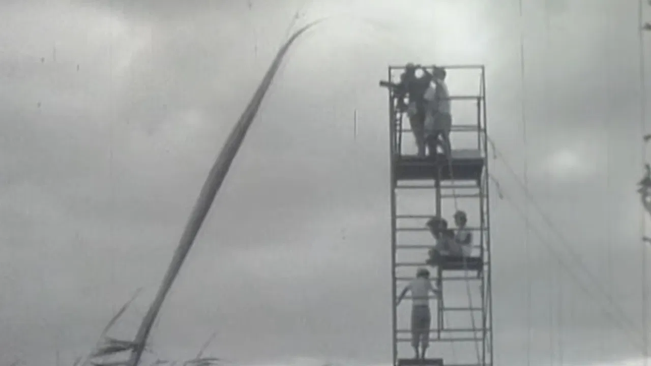 Onibaba : Film Location backdrop