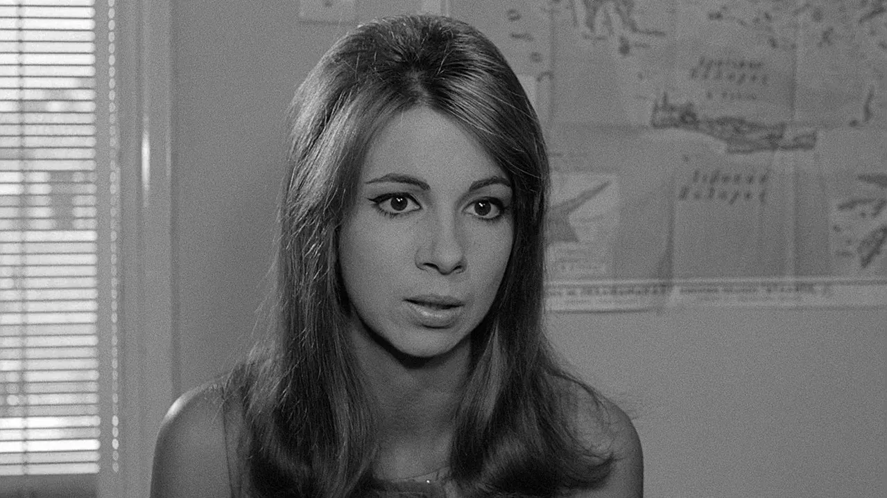 The Hot Month of August backdrop