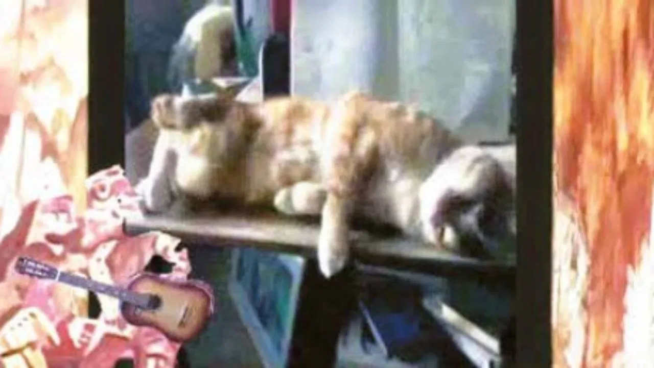 Romantic Ballad backdrop