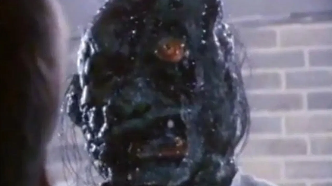 Look Who's Toxic backdrop