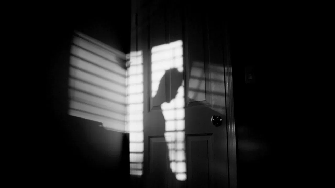 Life in A Day backdrop