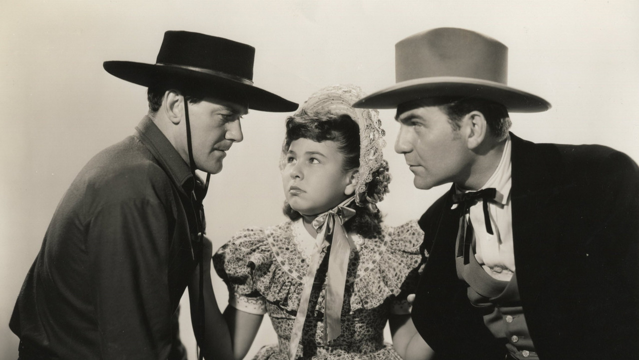 The Arizona Wildcat backdrop