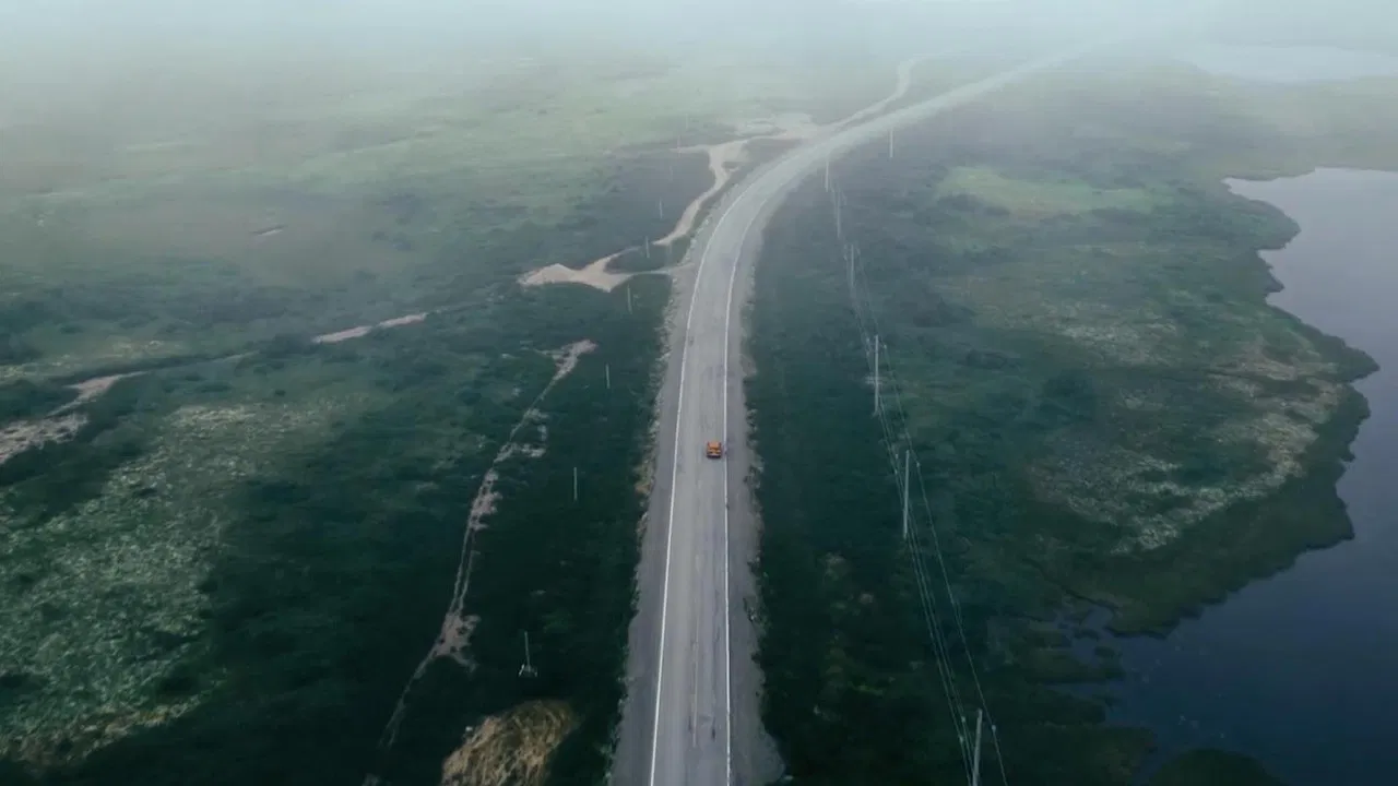 Blueberries for Iris backdrop