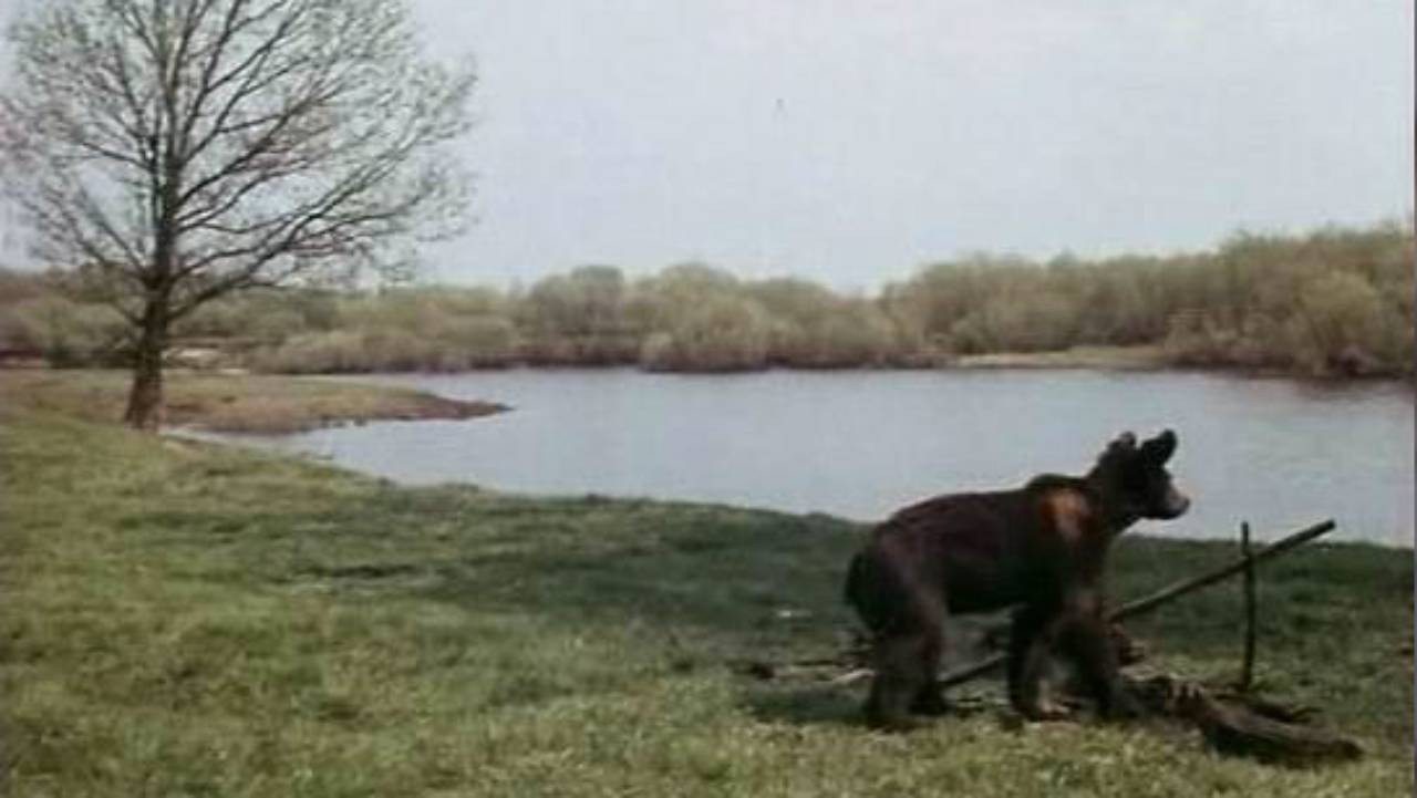 Little Bear, Baby and Others backdrop