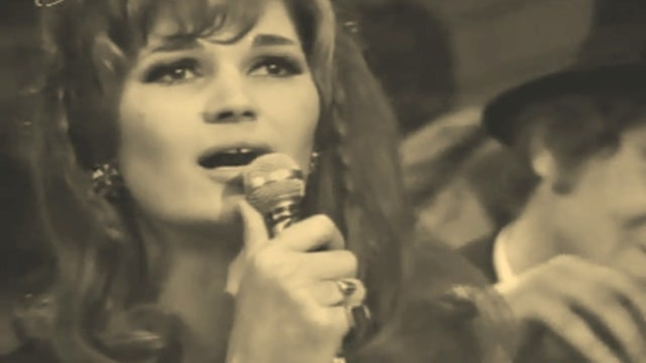 Concert to All Our Neighbors backdrop