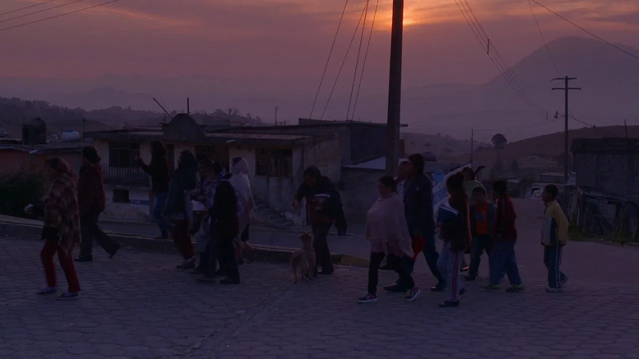 VII Domitilas backdrop