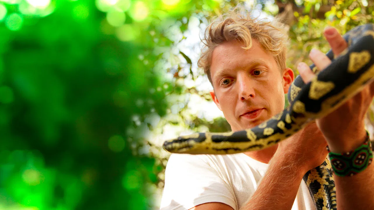 Fearless Adventures with Jack Randall backdrop