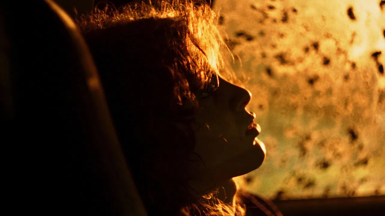 Thanks to the Hard Work of the Elephants backdrop