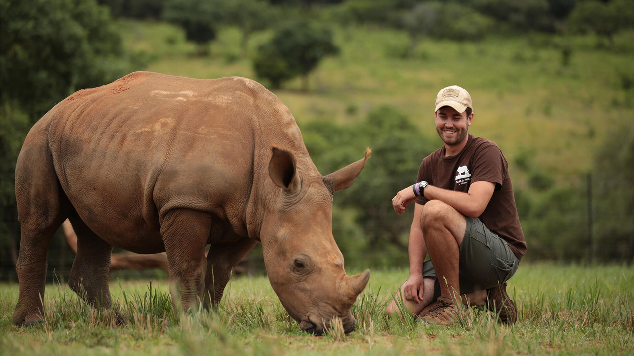 Work on the Wild Side backdrop